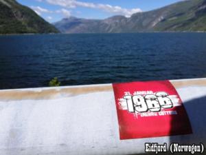 Eidfjord Norwegen (2)